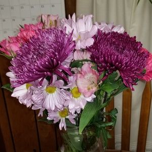 Meet your Posher, Billie